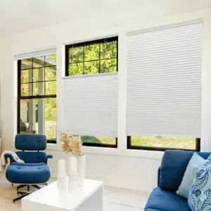 Top-Down Bottom-Up Honeycomb Cellular Shades in a Mississauga living room